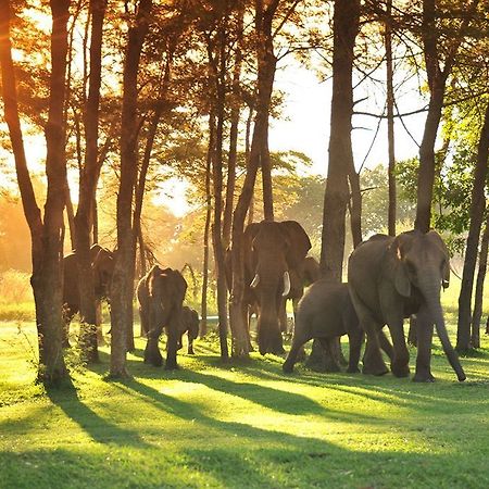 Three Cities Thorntree River Lodge Ливингстън Екстериор снимка