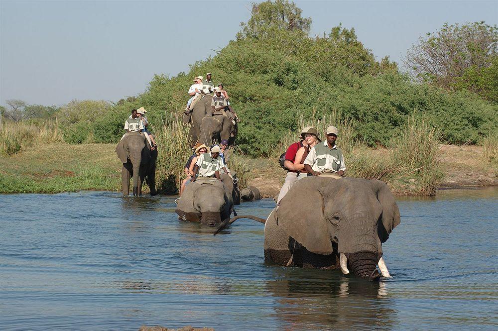 Three Cities Thorntree River Lodge Ливингстън Екстериор снимка