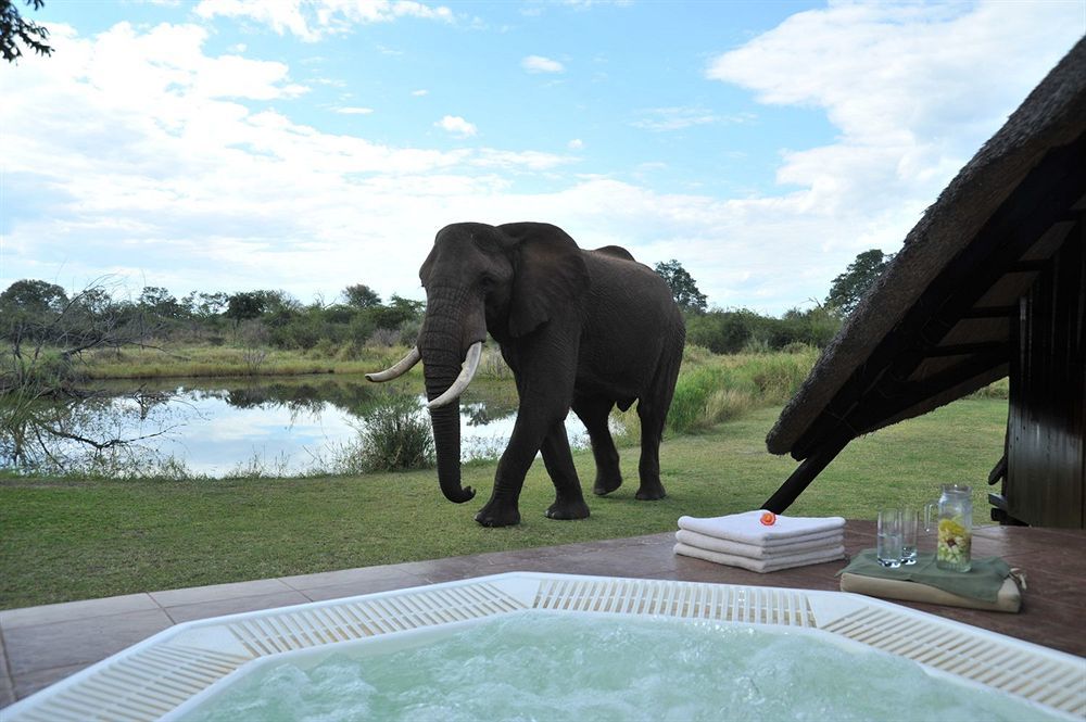 Three Cities Thorntree River Lodge Ливингстън Екстериор снимка